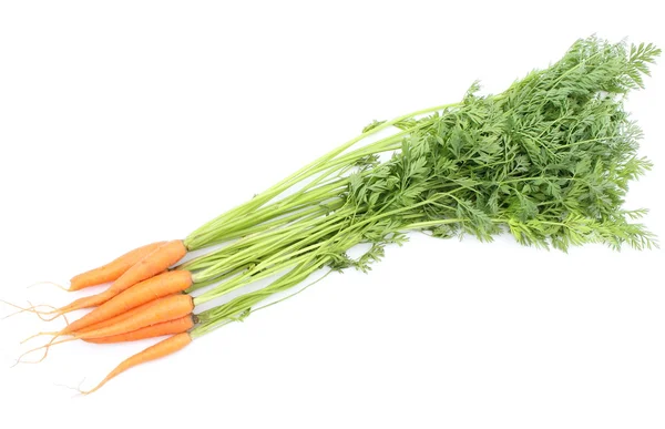 Zanahorias anaranjadas con hojas aisladas sobre fondo blanco — Foto de Stock