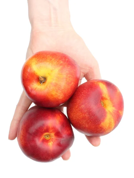 Woman's hand with a fruit nectarines on white background — Stock Photo, Image