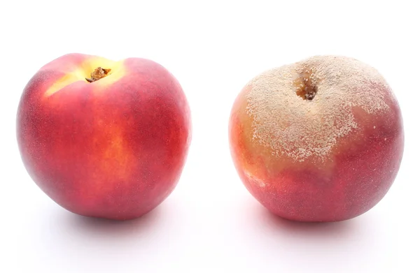 Fresh and moldy peach on white background — Stock Photo, Image