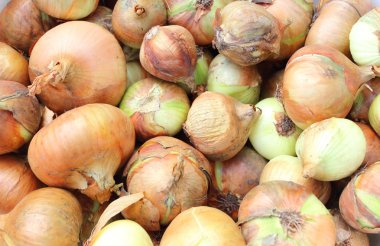 doğal ve soyulmamış soğan yığını