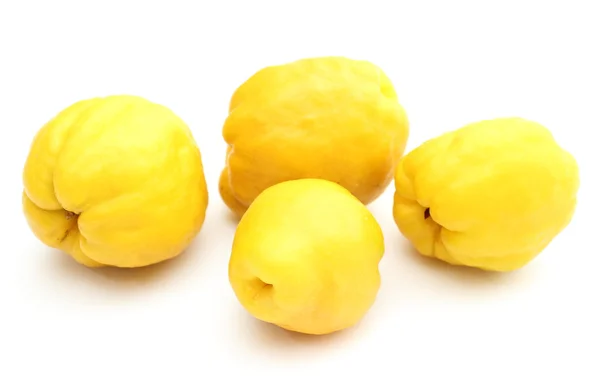 Four yellow quinces on white background — Stock Photo, Image