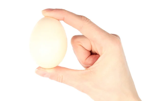 Рука женщины с яйцом на белом фоне — стоковое фото