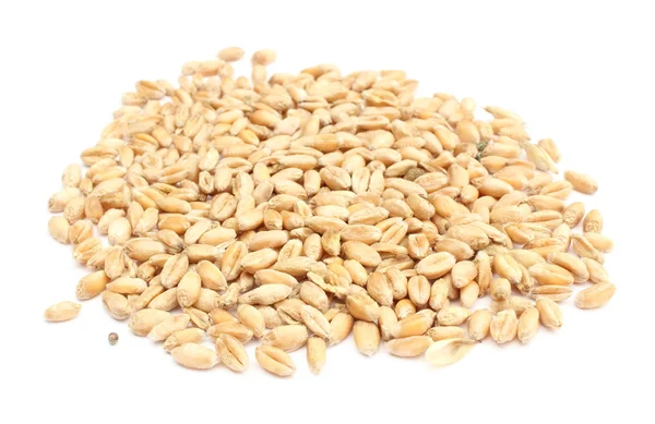 Chicco di grano isolato su fondo bianco — Foto Stock