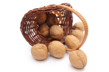 Ceviz beyaz zemin üzerine devrilmiş hasır sepet