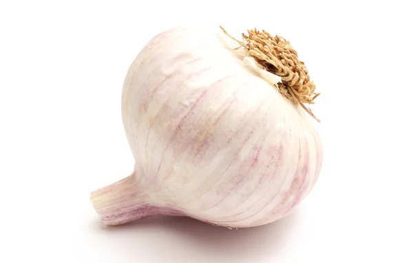 Fresh bulb of garlic on white background — Stock Photo, Image