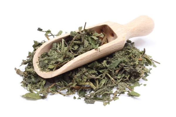 Heap of dried nettle on wooden spoon — Stock Photo, Image