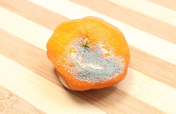 Mandarina mohosa sobre fondo de madera —  Fotos de Stock