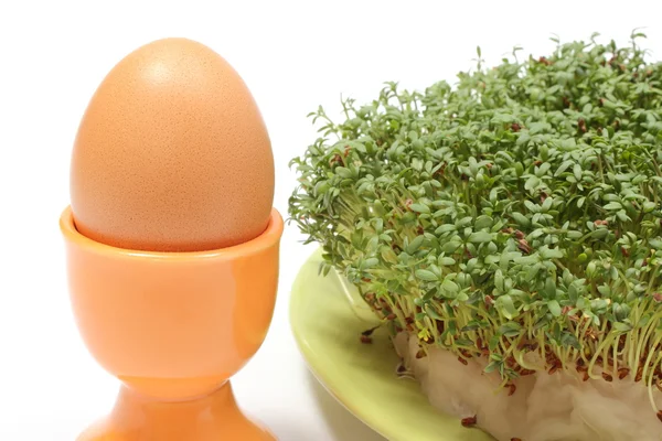 Fresh Easter egg in orange cup with green cuckooflower. White background — Stock Photo, Image