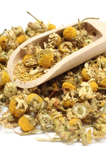 Heap of dried chamomile on wooden spoon — Stock Photo, Image