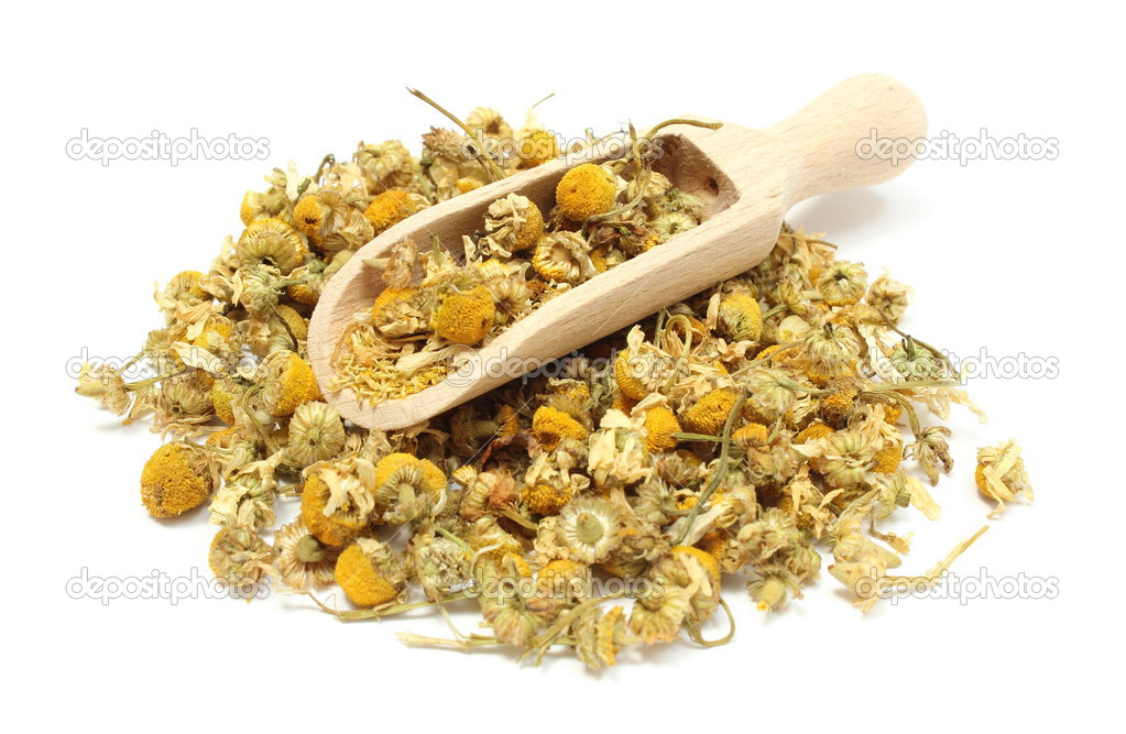 Heap of dried chamomile on wooden spoon