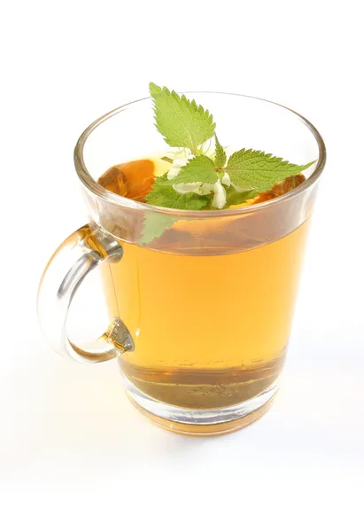 Fresh nettle with white flowers and cup of beverage — Stock Photo, Image