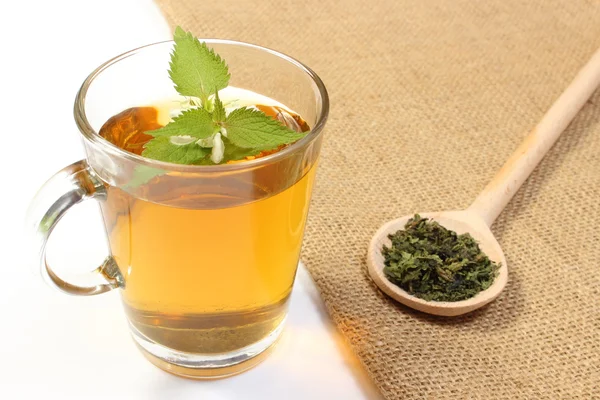 Fresh and dried nettle with cup of beverage — Stock Photo, Image