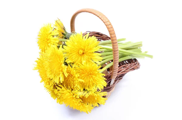 Желтые цветы одуванчика в плетеной корзине — стоковое фото