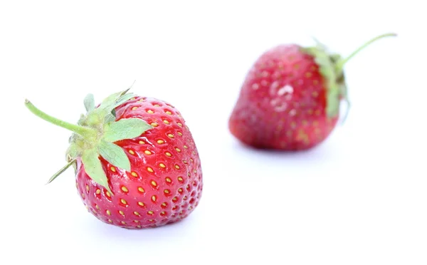 Fresas frescas aisladas en blanco —  Fotos de Stock