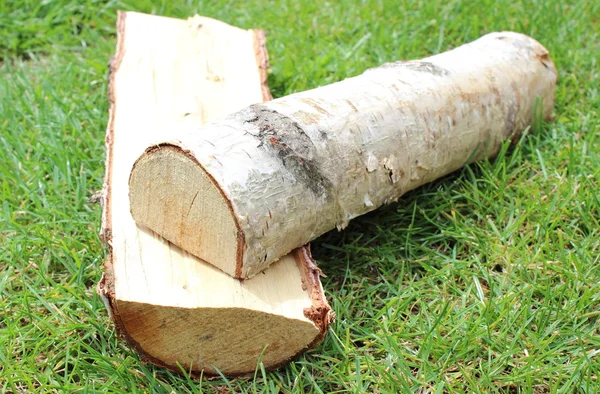 Stack of cut logs firewood from silver birch tree — Stock Photo, Image