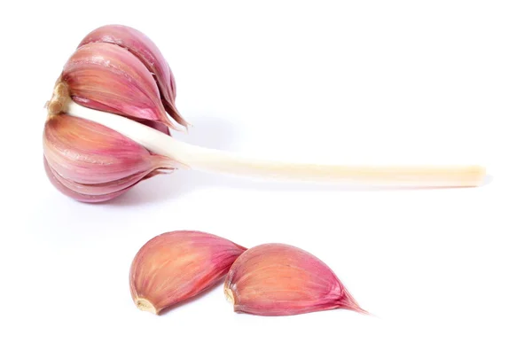 Fresh garlic on white background — Stock Photo, Image