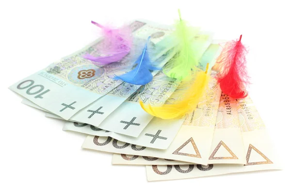 Colored feathers and banknotes on white background — Stock Photo, Image