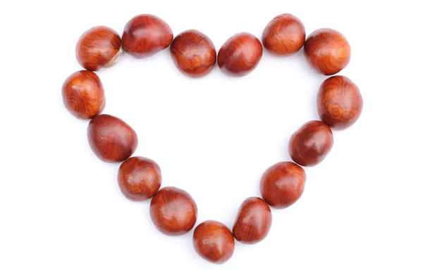 Heart of chestnut on white background — Stock Photo, Image