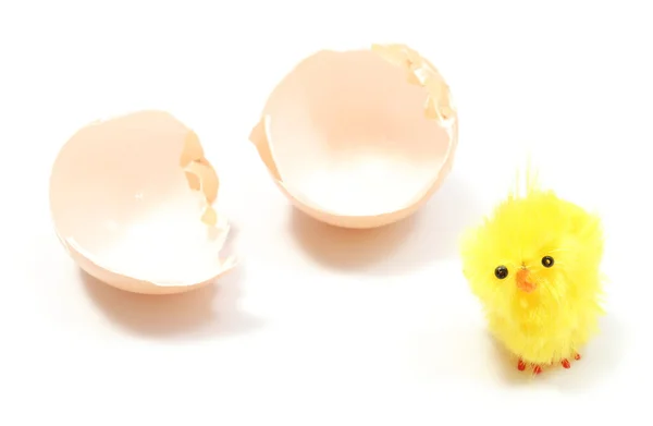 Easter chicken with broken eggshell, chicken or the egg — Stock Photo, Image