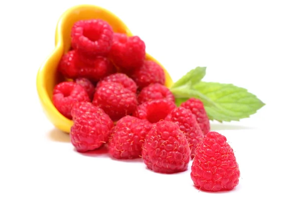 Fresh raspberries pouring out of yellow bowl. White background — Stock Photo, Image