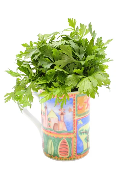 Bunch of fresh and natural parsley in colorful cup. White background — Stock Photo, Image
