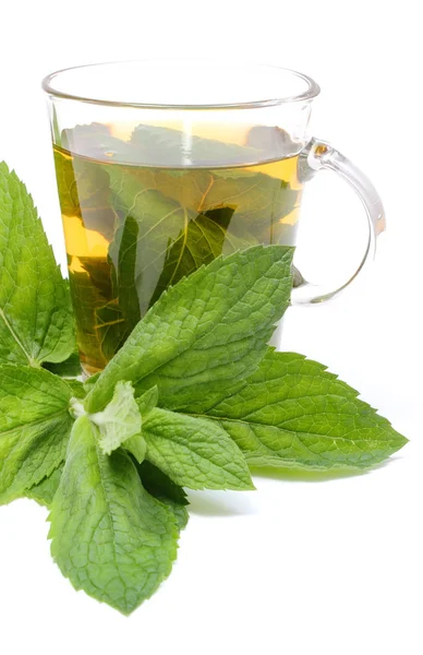 Fresh green mint and cup of beverage. White background — Stock Photo, Image