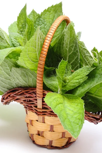 Bunch of fresh green mint in wicker basket on white background — Stock Photo, Image