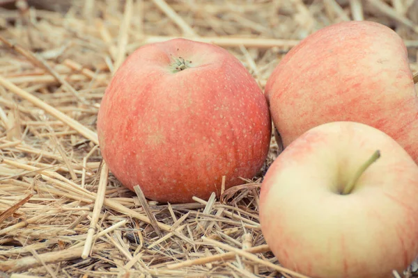 Fresh Ripe Apples Hay Stall Bazaar Healthy Fruits — Stock Photo, Image