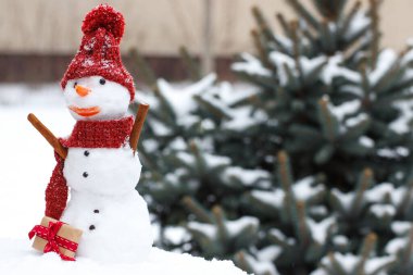 Yün, İpek eşarp ve iğne yapraklı ağaç kaplı kar, kış sezonu arka plan üzerinde Noel ya da Sevgililer günü için hediye kap komik kardan adam