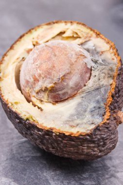 Koyu ahşap tahtada eski küflü avokado. Sağlıksız ve iğrenç meyveler.