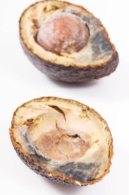 Beyaz arka planda küf olan yenilemez avokado. Sağlıksız yiyecekler