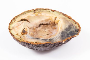 Beyaz arka planda küf olan yenilemez avokado. Sağlıksız yiyecekler