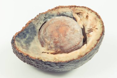 Küflü avokado. Beyaz arka planda sağlıksız ve iğrenç meyveler