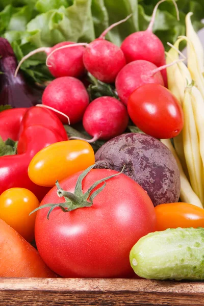 Verse Rijpe Groenten Als Gezonde Ingrediënten Met Vitaminen Mineralen Voor — Stockfoto