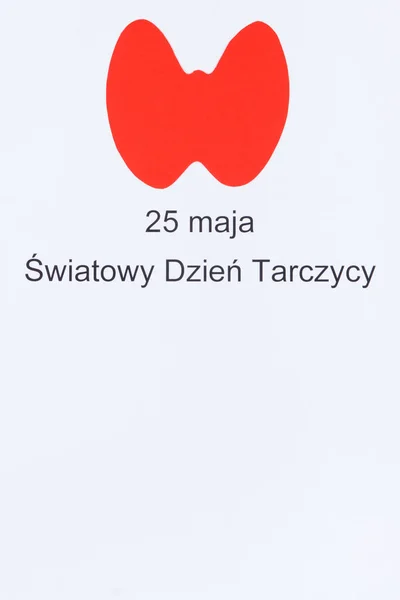 Красная Щитовидная Железа Сделанная Бумаги Полированной Надписи Мая Всемирный День — стоковое фото