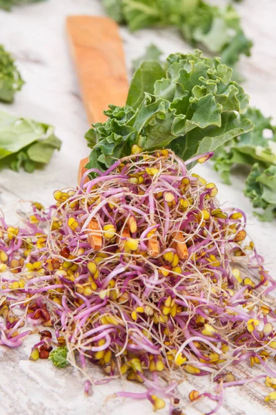新鲜的甘蓝芽和绿叶蔬菜用木叉 含有天然健康维生素和矿物质的食物 — 图库照片