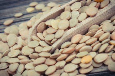 Yeşil mercimek, çeşitli yemeklerin sağlıklı besin maddeleridir. Doğal vitaminler, mineraller ve lifler