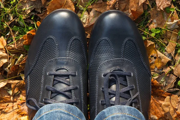 Navy Blue Casual Brązowe Skórzane Buty Zielonej Trawie Pomarańczowymi Jesiennymi — Zdjęcie stockowe