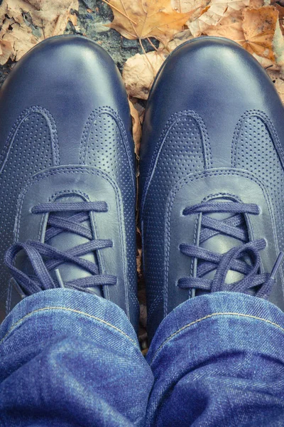 舒适舒适的海军蓝色皮鞋在柏油路上或有秋天树叶的人行道上 男式鞋袜 — 图库照片