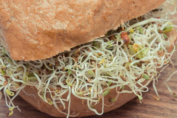 Alfalfa ve turp lahanası bir dilim ekmek ya da rulo ile. Sandviçlere sağlıklı bir ilave. Doğal vitaminler ve mineraller