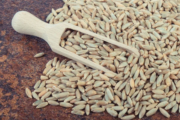 Köy arka planında tahta kaşık olan bir yığın çavdar tohumu. Tarım kavramı