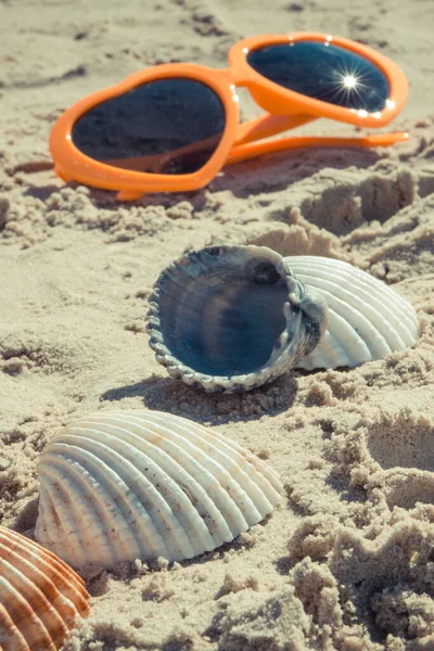 Orange Sunglasses Seashells Sand Beach Travel Vacation Time Concept — Foto de Stock