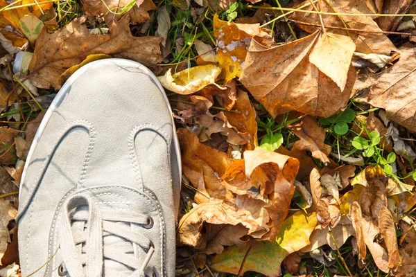 Cómodos Zapatos Casuales Cuero Gris Sobre Hierba Verde Con Hojas —  Fotos de Stock