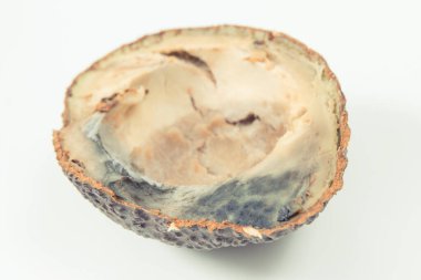 Beyaz arka planda küf olan yarım bir avokado. Sağlıksız ve bozulmuş yemekler.