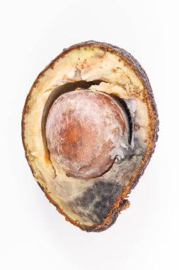 Beyaz arka planda küf olan yenilemez avokado. Sağlıksız yiyecekler