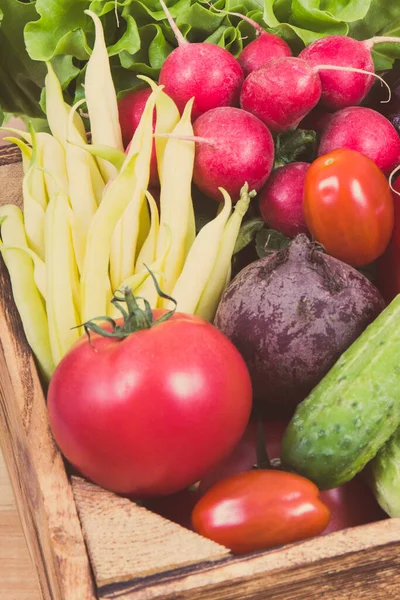 Свежие Зрелые Здоровые Овощи Содержащие Натуральные Минералы Витамины Лучшая Еда — стоковое фото