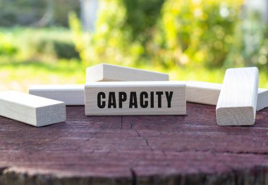 CAPACITY metni eski bir ağaç kütüğünün üzerinde bulanık bir bahçe arka planına uzanan tahta bir küp üzerine yazılmıştır..