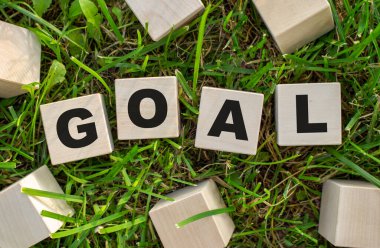 Hedef kelimesi ahşap küplere yazılmıştır. Bloklar güneş ışığıyla yeşil çimlerin üzerinde yer alıyor. Seçici odak.