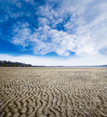 sakinleştirmek beach desen beyaz Rock, İngiliz col düşük gelgit sırasında
