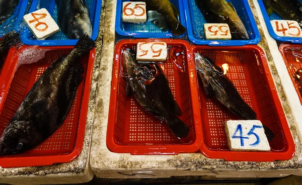 Mercado de pescado fresco — Foto de Stock